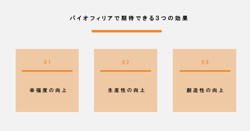 バイオフィリアでオフィス環境を一新！緑を取り入れる効果と導入例