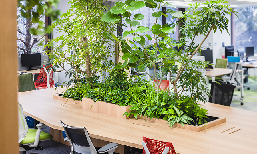 株式会社エム・シー・ファシリティーズ/執務エリア