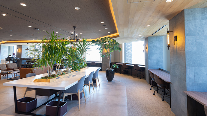 オフィス緑化が業務効率をアップさせる？オフィスにおすすめの観葉植物をご紹介