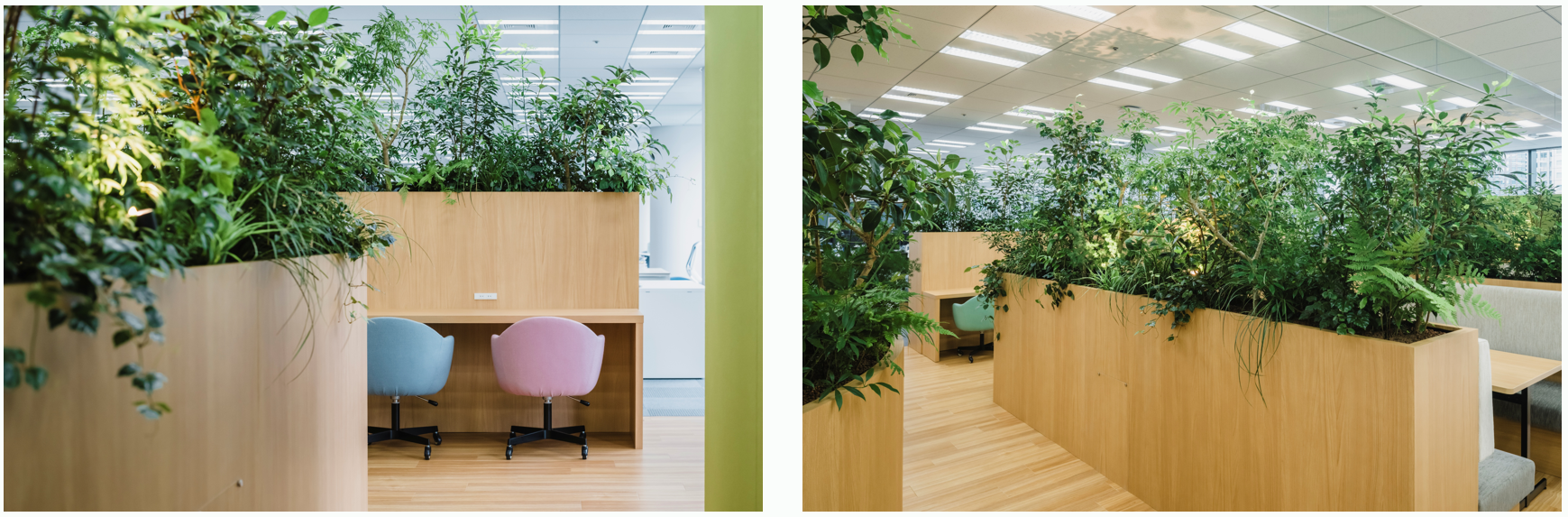 vol.29　vol.29　都内某社／リフレッシュスペース 植物と家具を組み合わせたバイオフィリックデザイン空間
