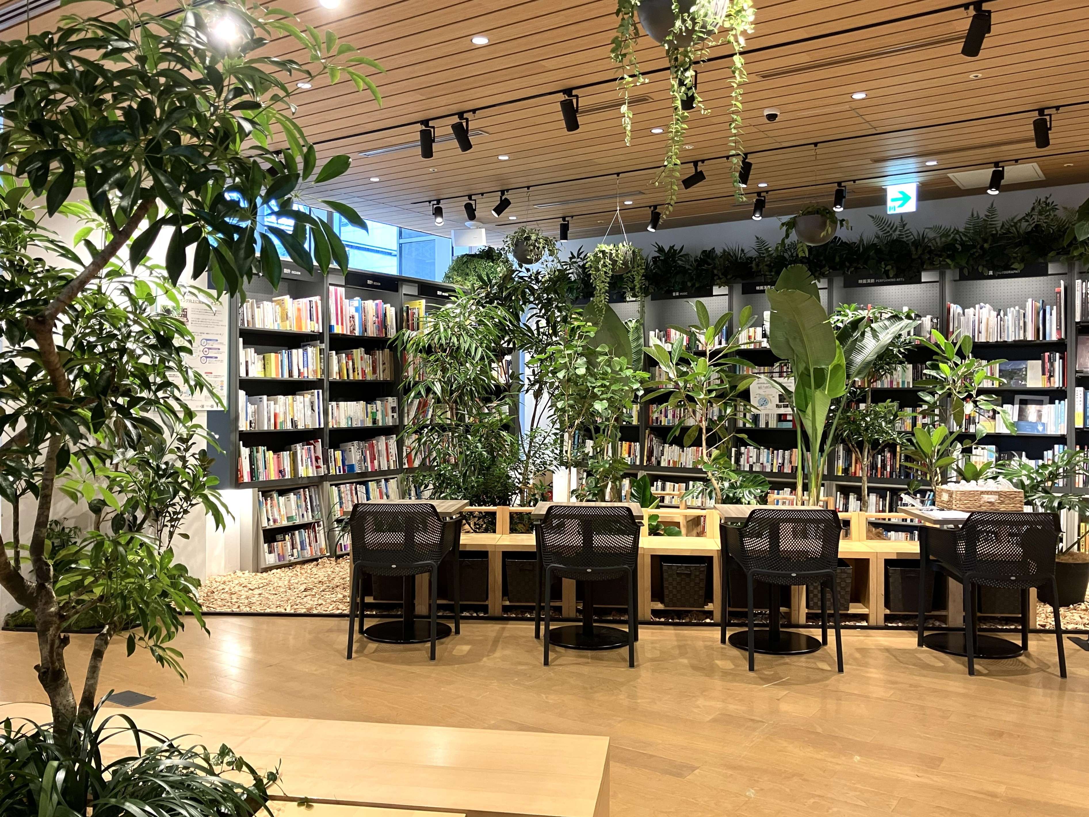 オフィスに「癒しとひらめきの森」を　コミュニケーション・リフレッシュ・リチャージで実現する”健康経営”の空間戦略～　【イベント開催レポート】
