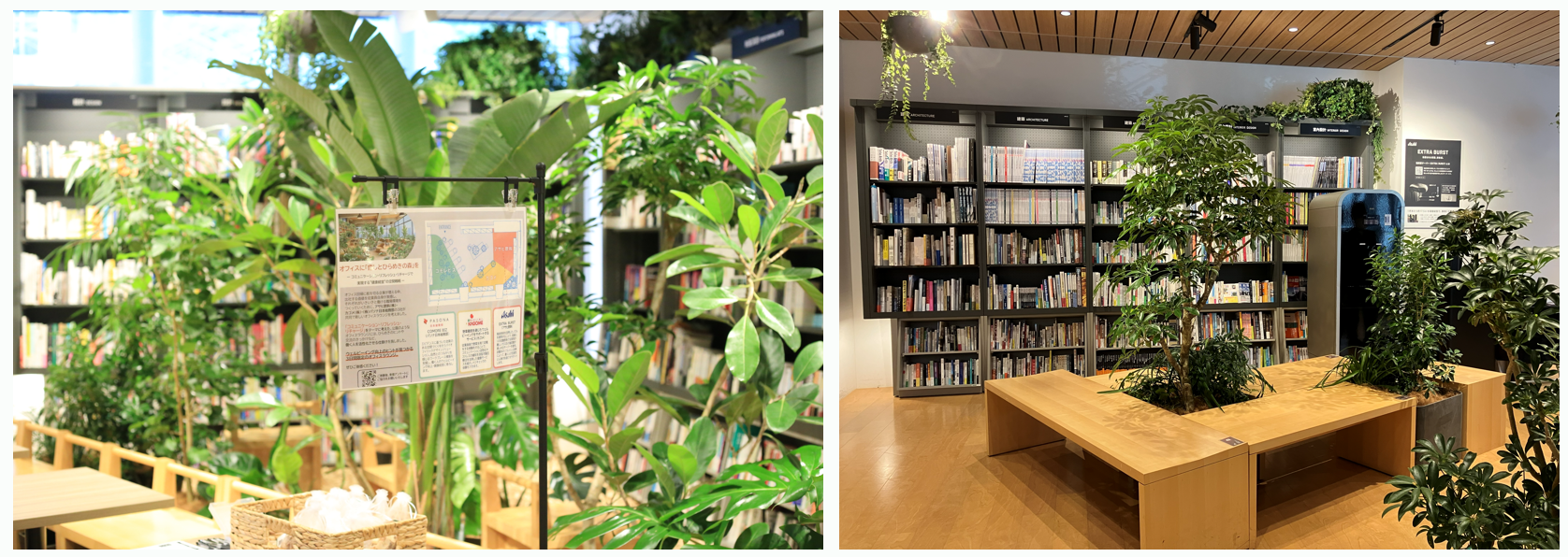 オフィスに「癒しとひらめきの森」を　コミュニケーション・リフレッシュ・リチャージで実現する”健康経営”の空間戦略～　
【イベント開催レポート】