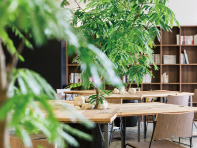 バイオフィリックデザイン コモレビズ